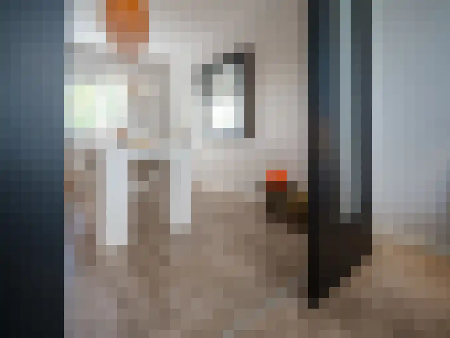 Stedehof 58 Assen thumbnail 21