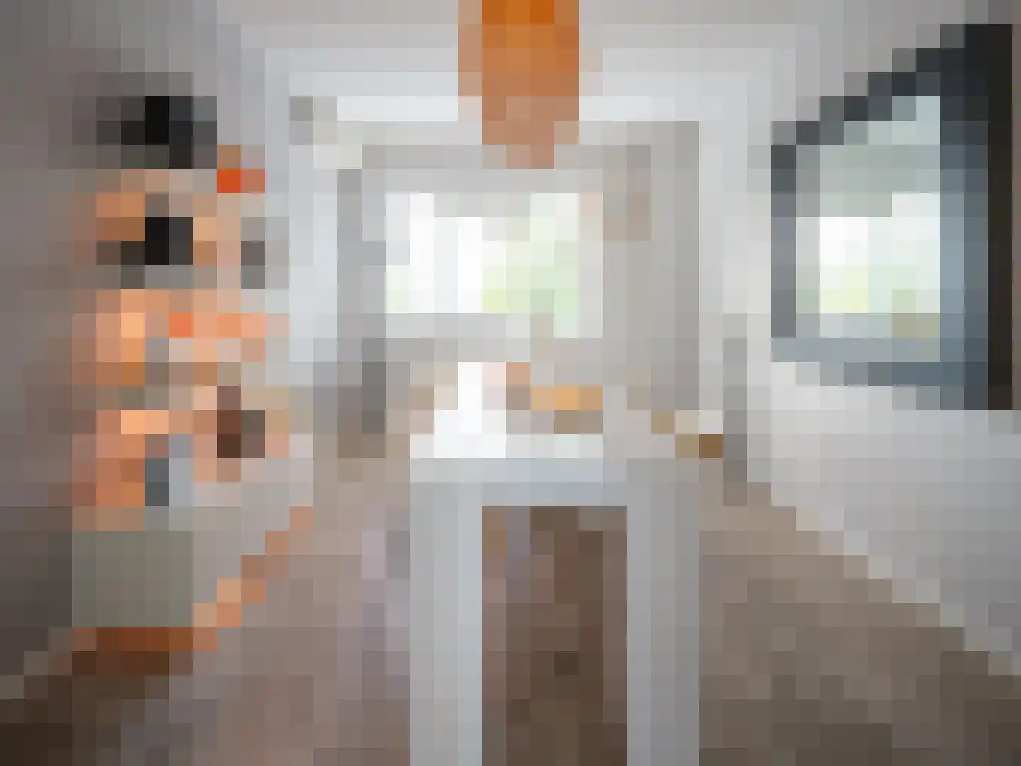 Stedehof 58 Assen thumbnail 22