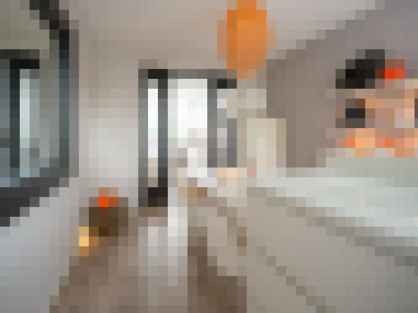 Stedehof 58 Assen thumbnail 23