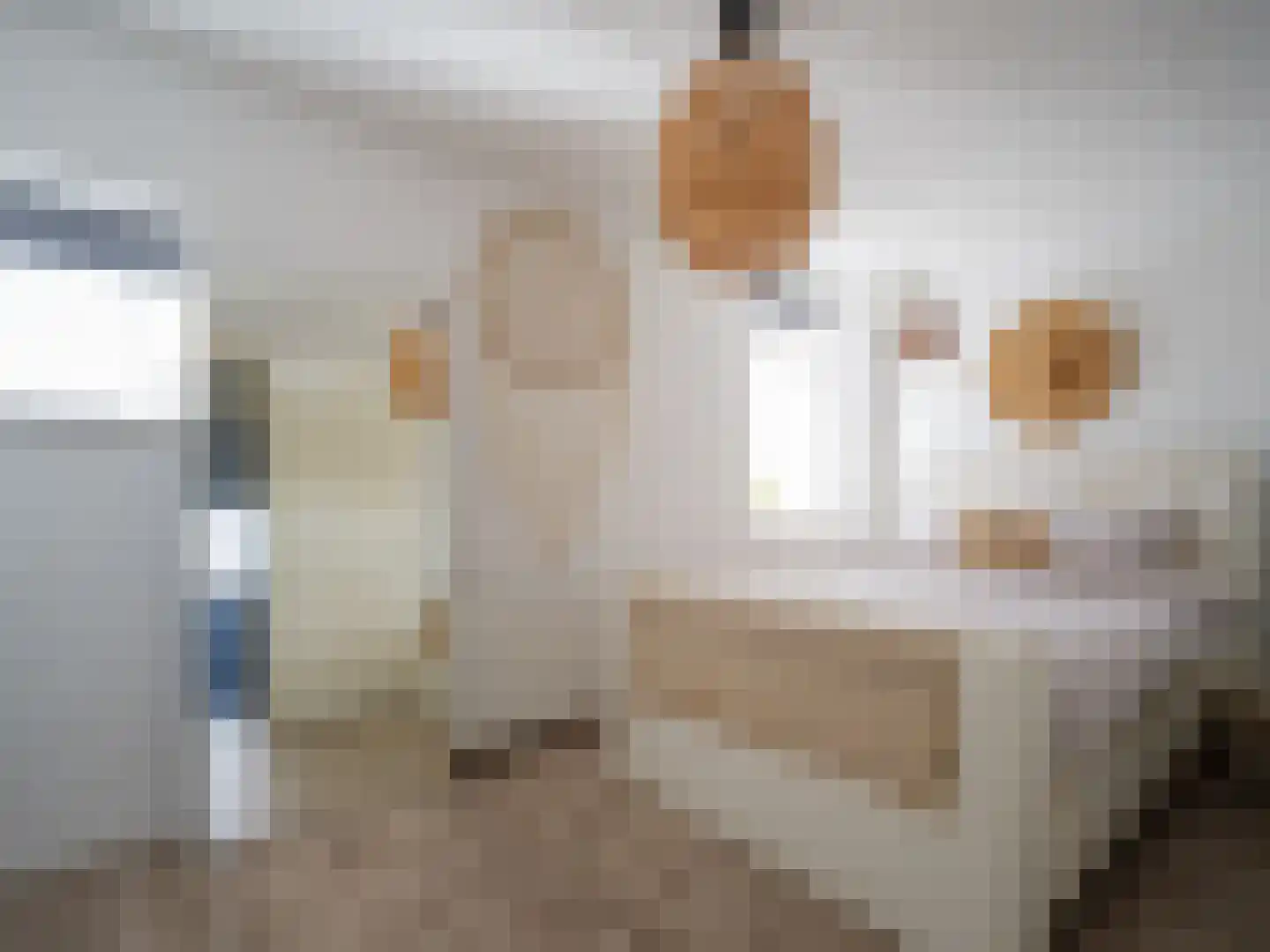 Stedehof 58 Assen thumbnail 26