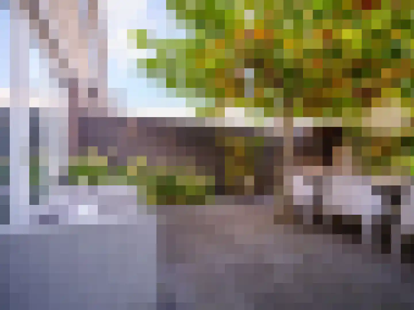 Stedehof 58 Assen thumbnail 30