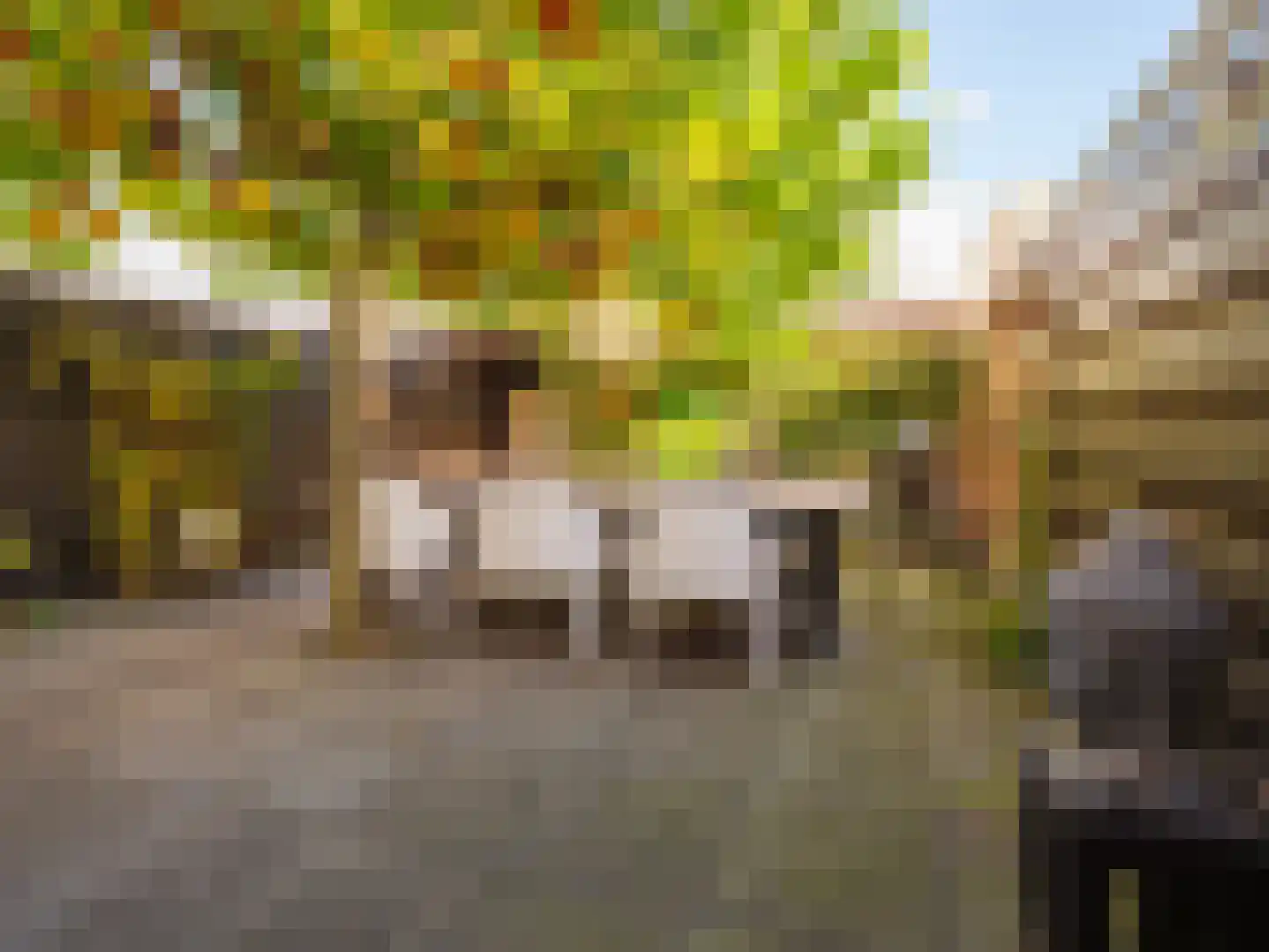 Stedehof 58 Assen thumbnail 31
