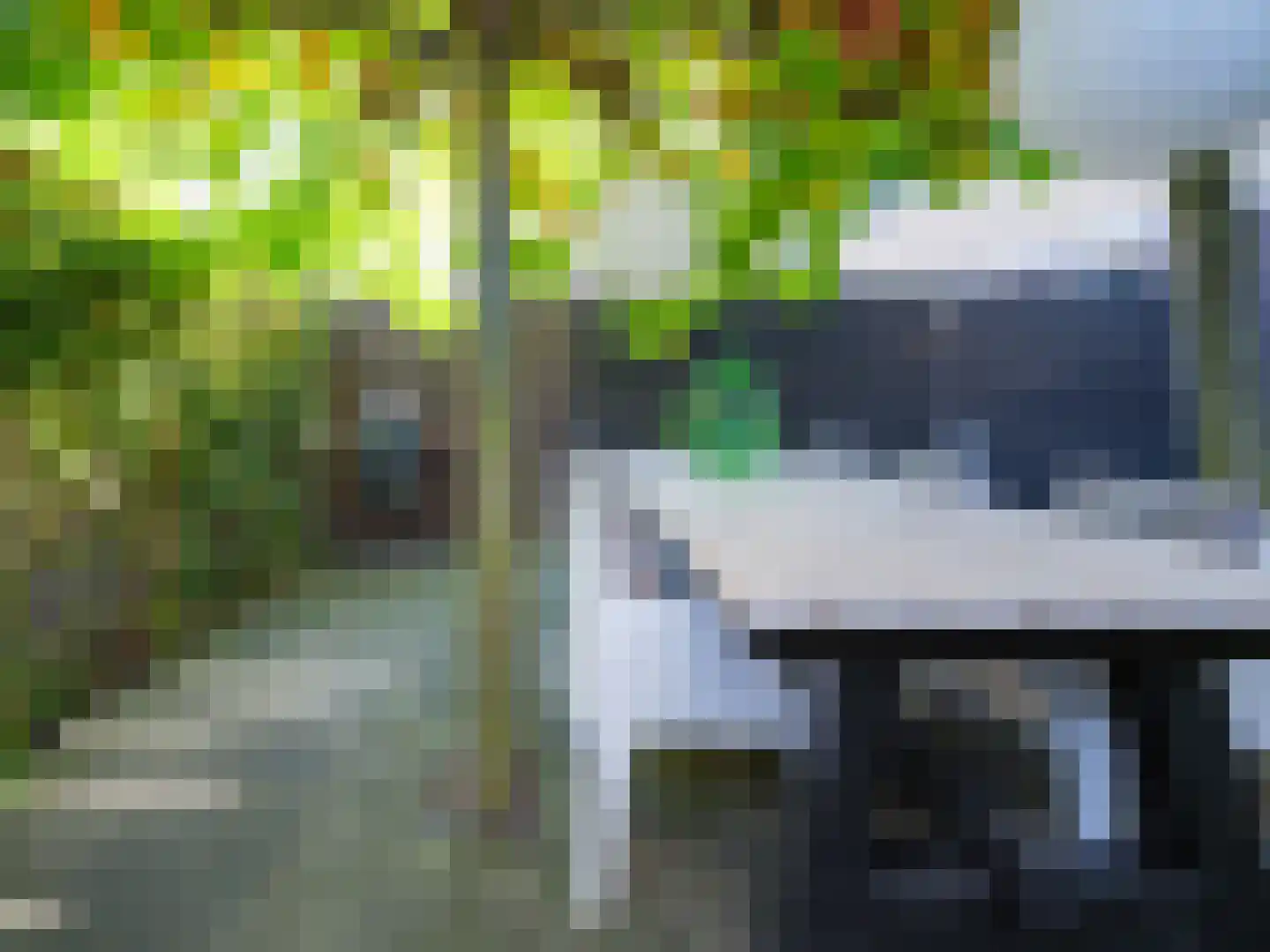 Stedehof 58 Assen thumbnail 32