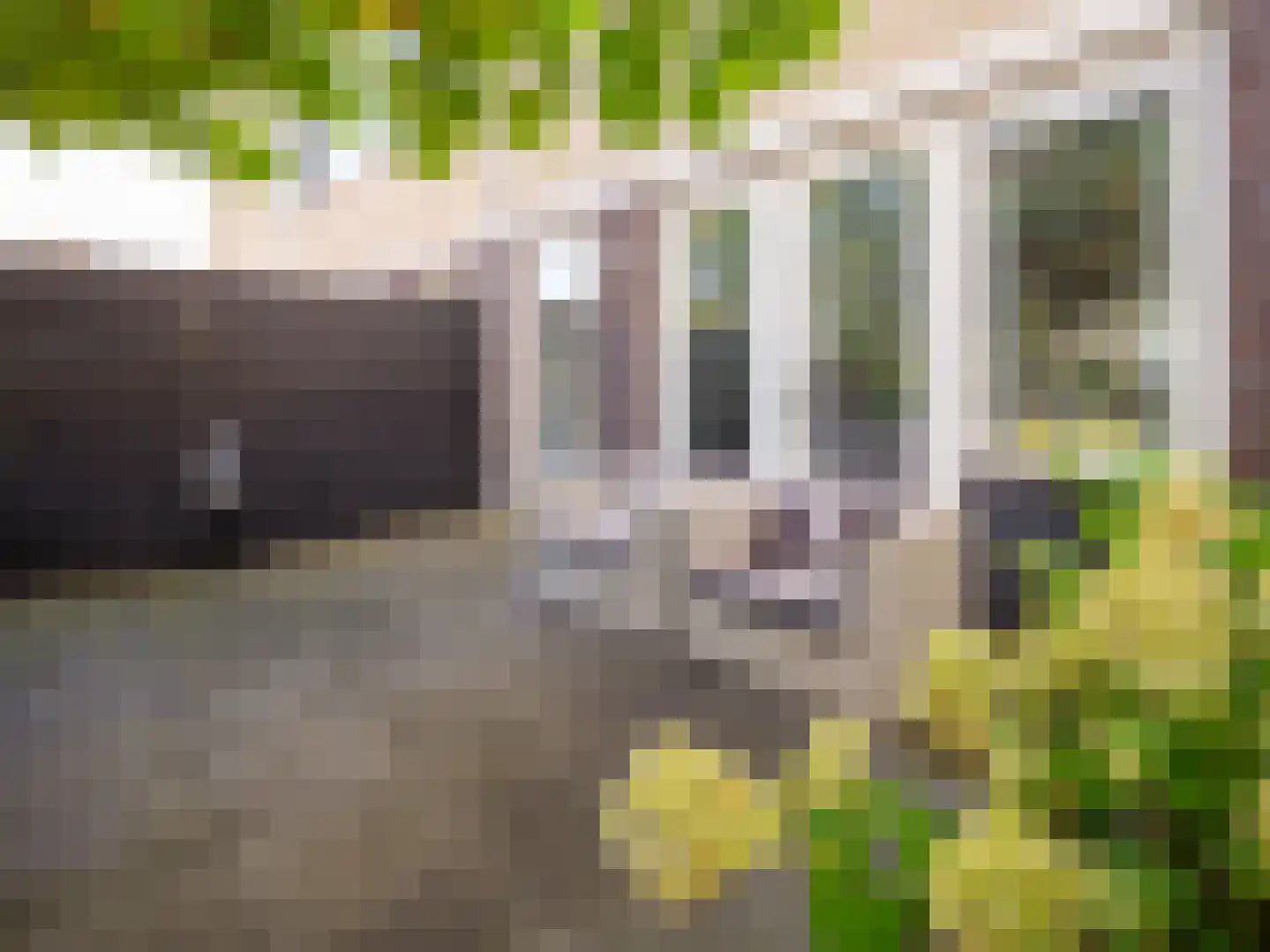 Stedehof 58 Assen thumbnail 35