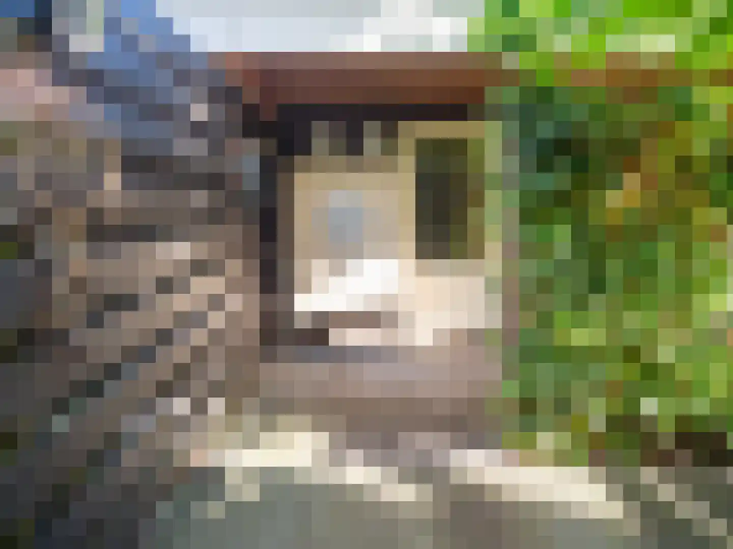 Stedehof 58 Assen thumbnail 36