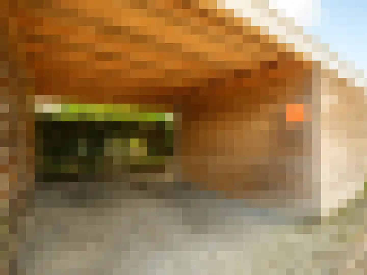 Stedehof 58 Assen thumbnail 38