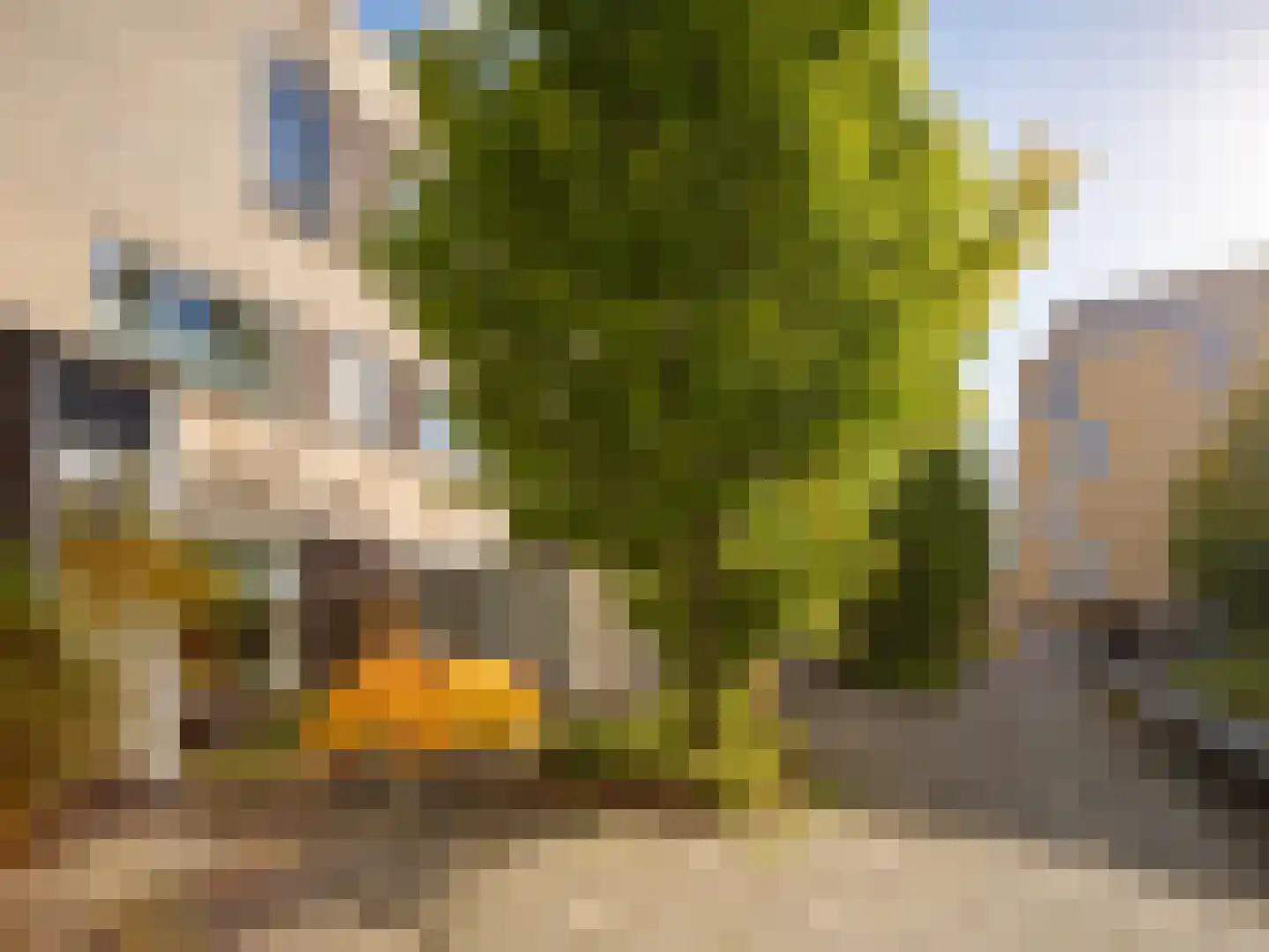 Stedehof 58 Assen thumbnail 39
