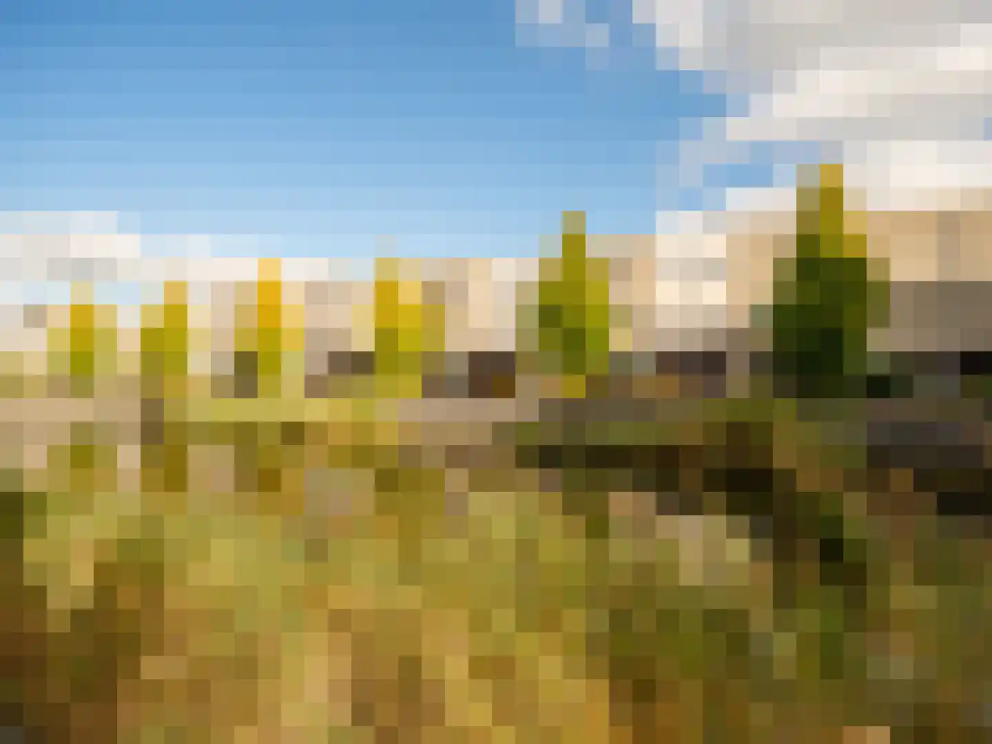 Stedehof 58 Assen thumbnail 41