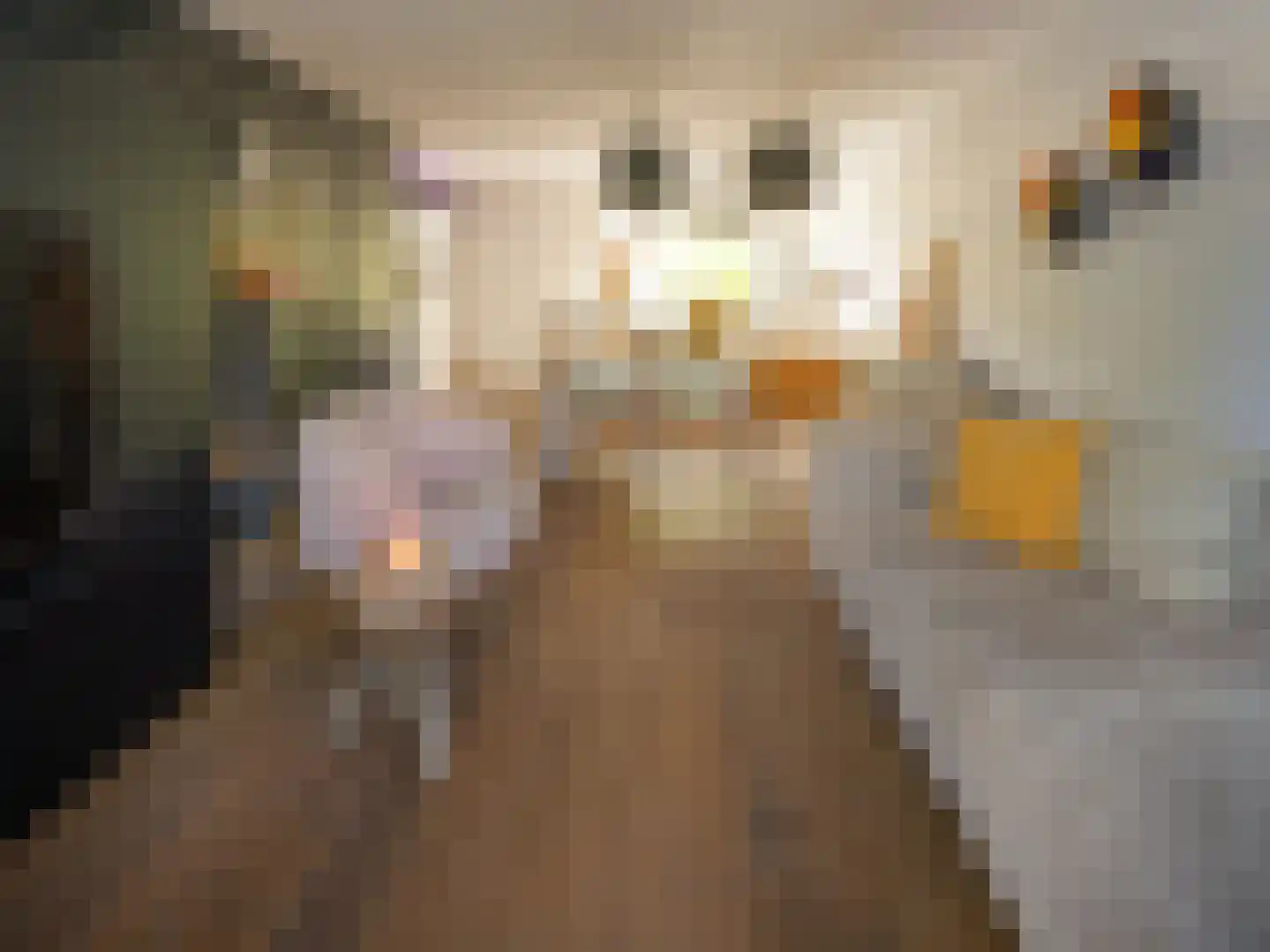 Stedehof 58 Assen thumbnail 5