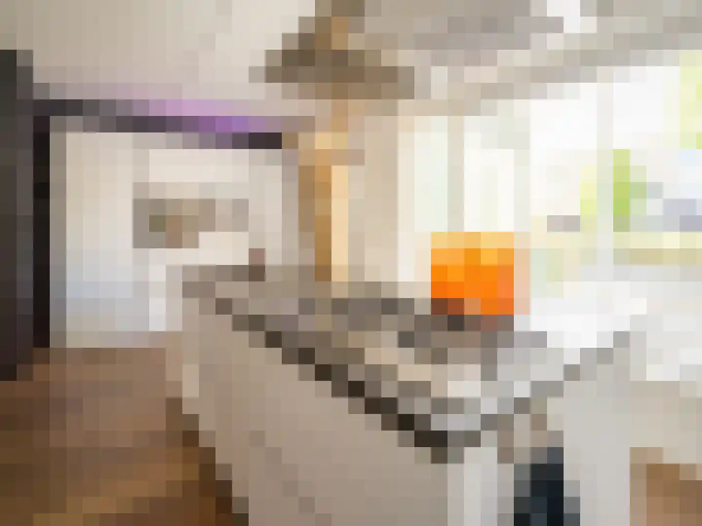 Stedehof 58 Assen thumbnail 8