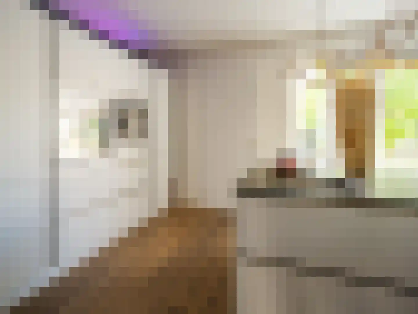 Stedehof 58 Assen thumbnail 9