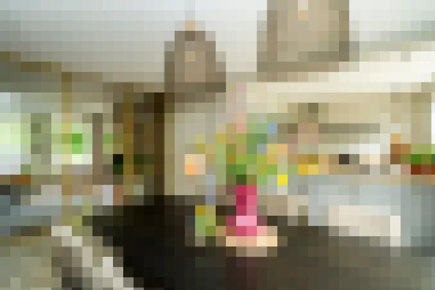 Stedekestraat 18 Goirle thumbnail 21