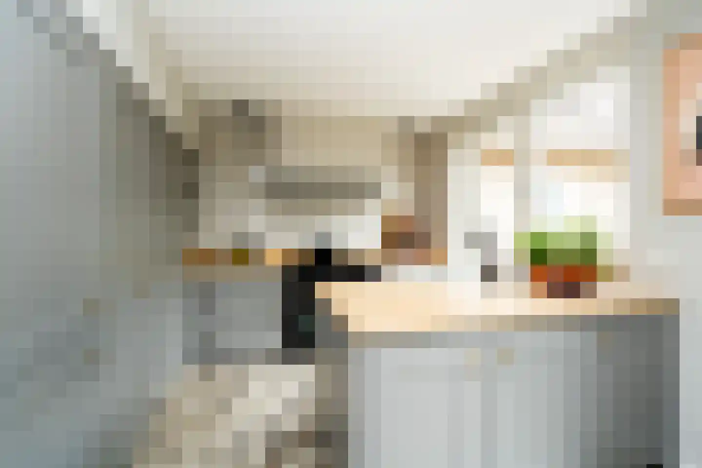 Stedekestraat 18 Goirle thumbnail 23