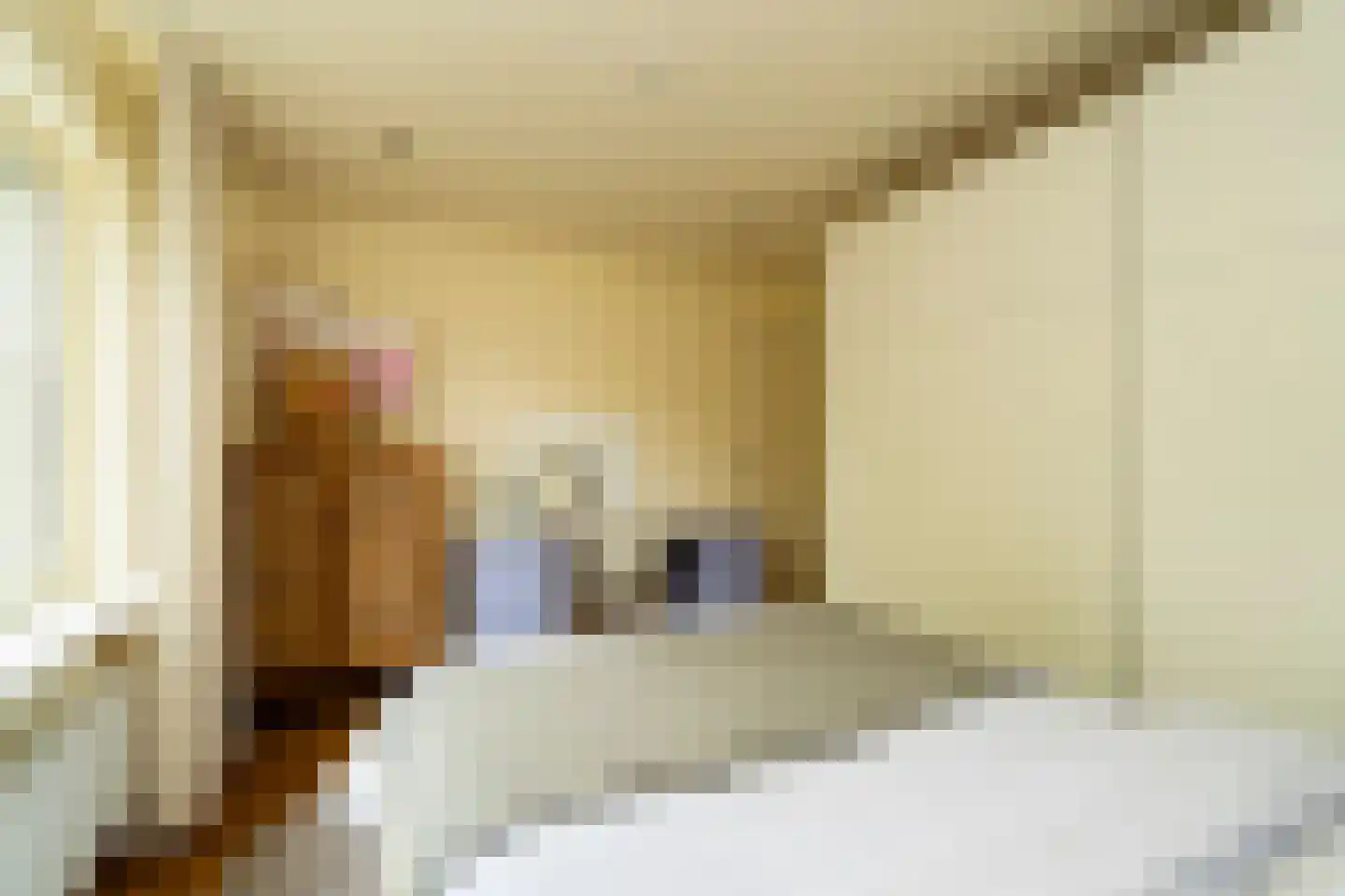Stedekestraat 18 Goirle thumbnail 34