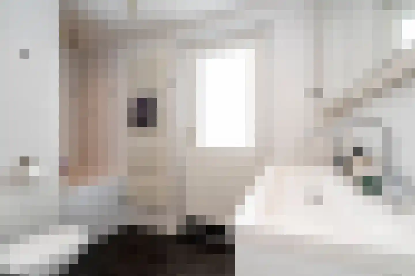 Stedekestraat 18 Goirle thumbnail 41