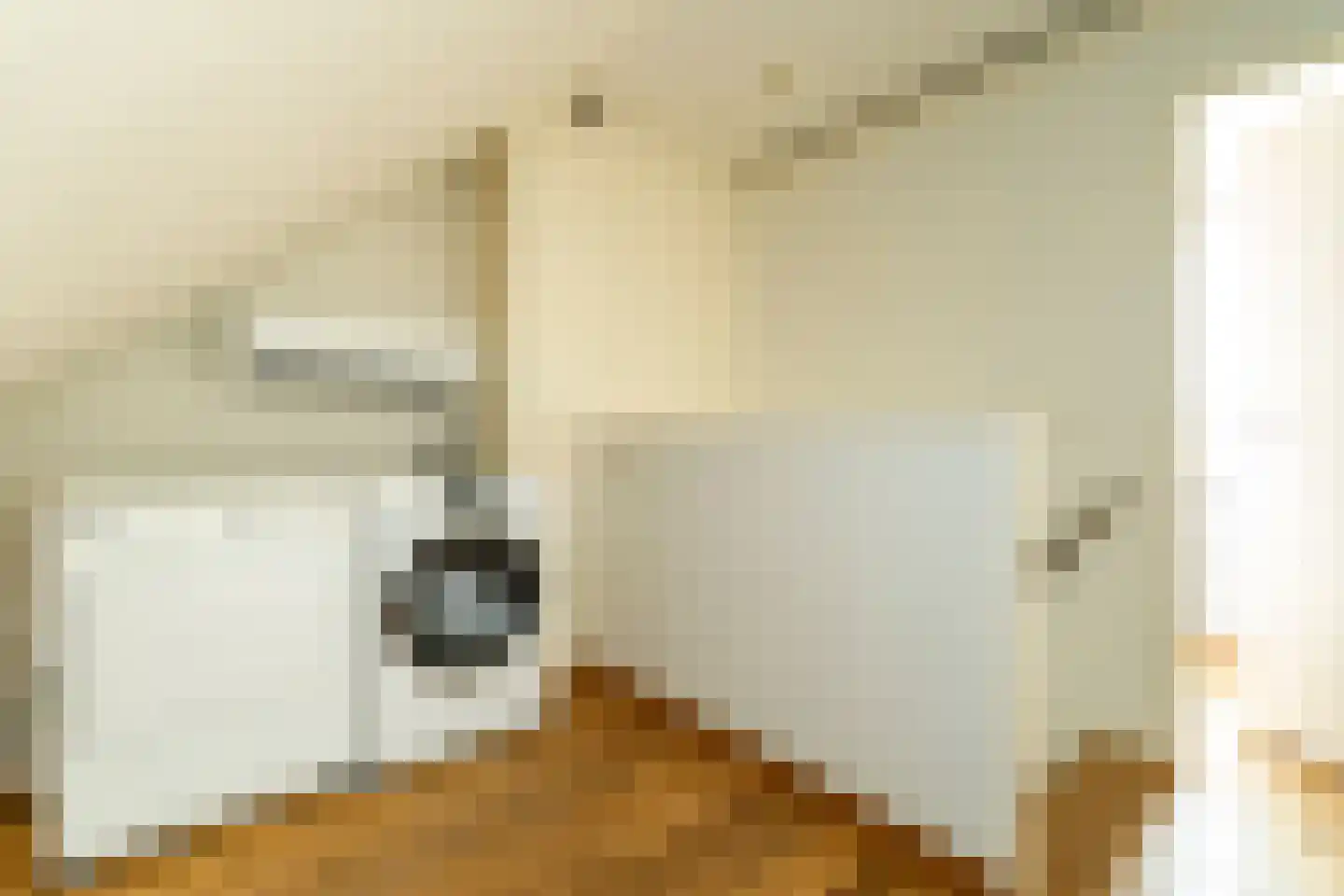 Stedekestraat 18 Goirle thumbnail 47