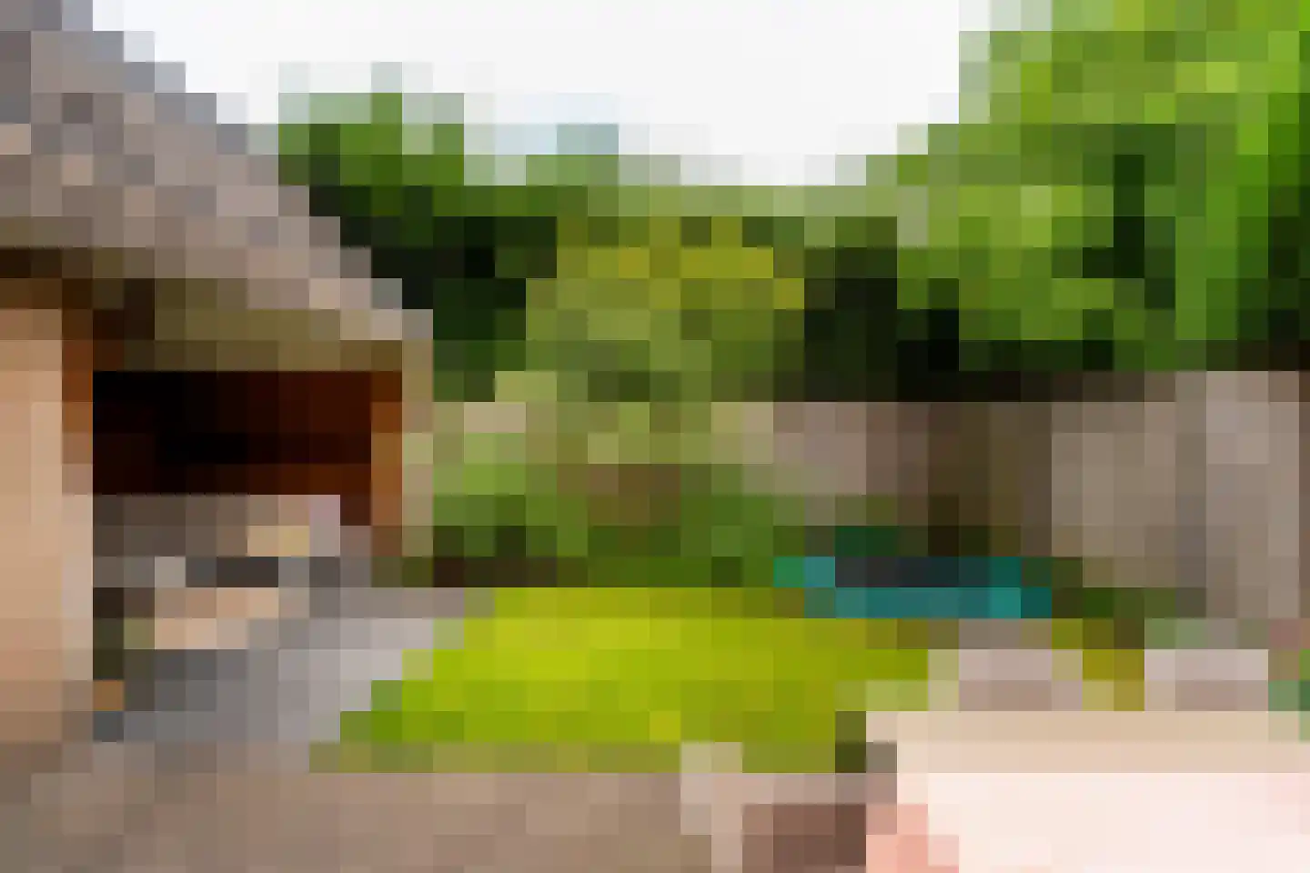 Stedekestraat 18 Goirle thumbnail 55