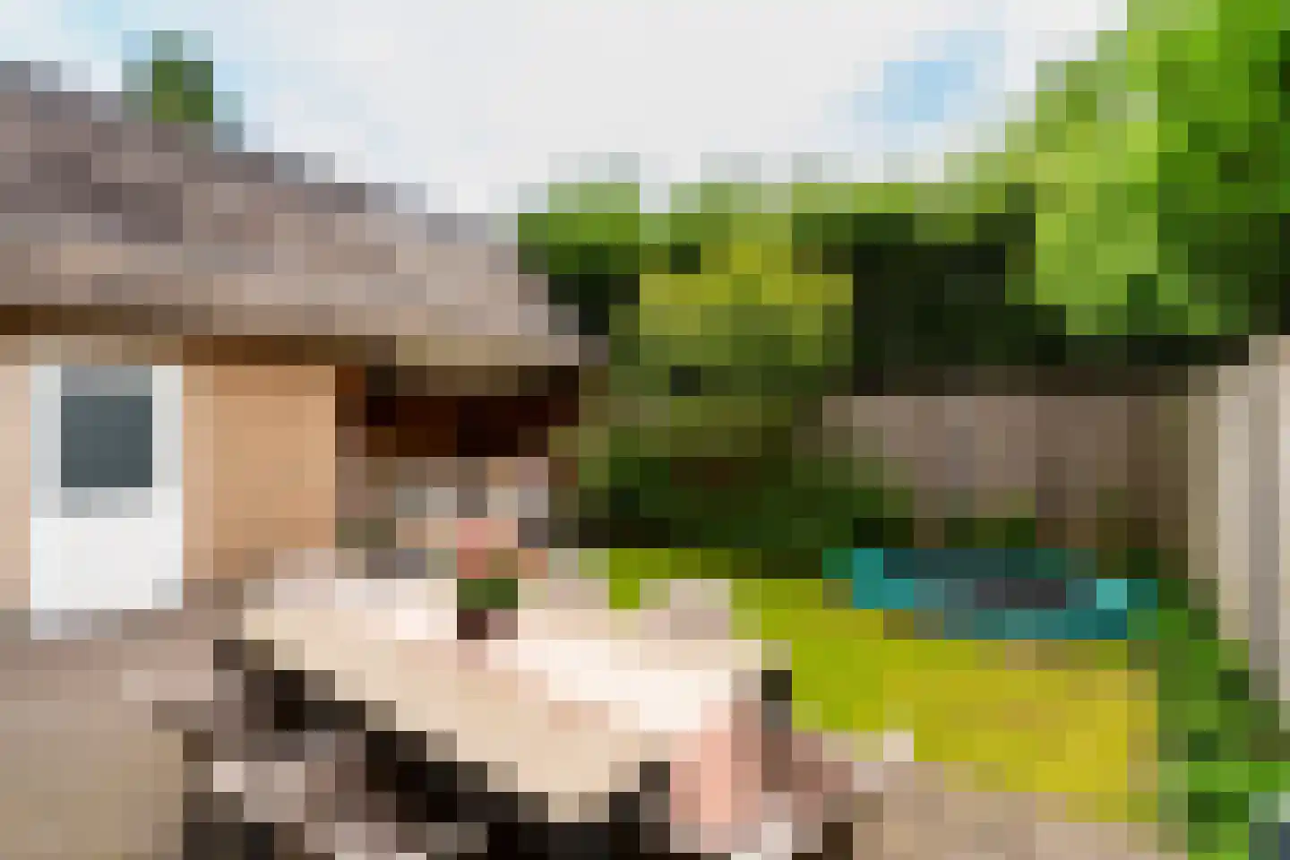 Stedekestraat 18 Goirle thumbnail 56