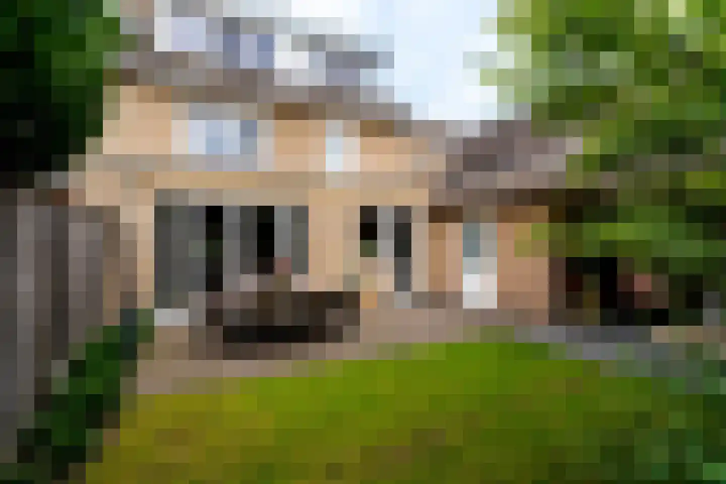 Stedekestraat 18 Goirle thumbnail 60