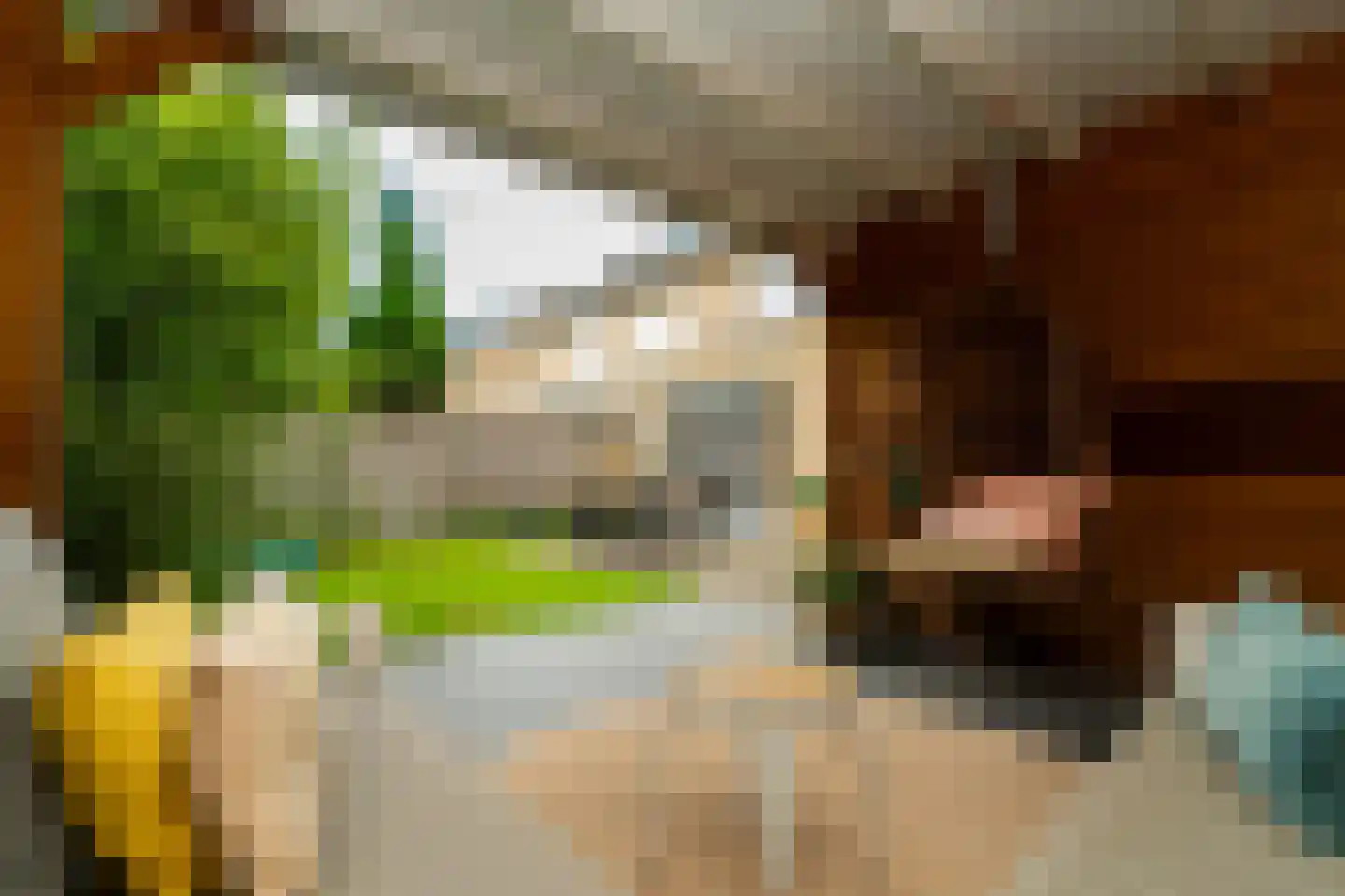 Stedekestraat 18 Goirle thumbnail 62