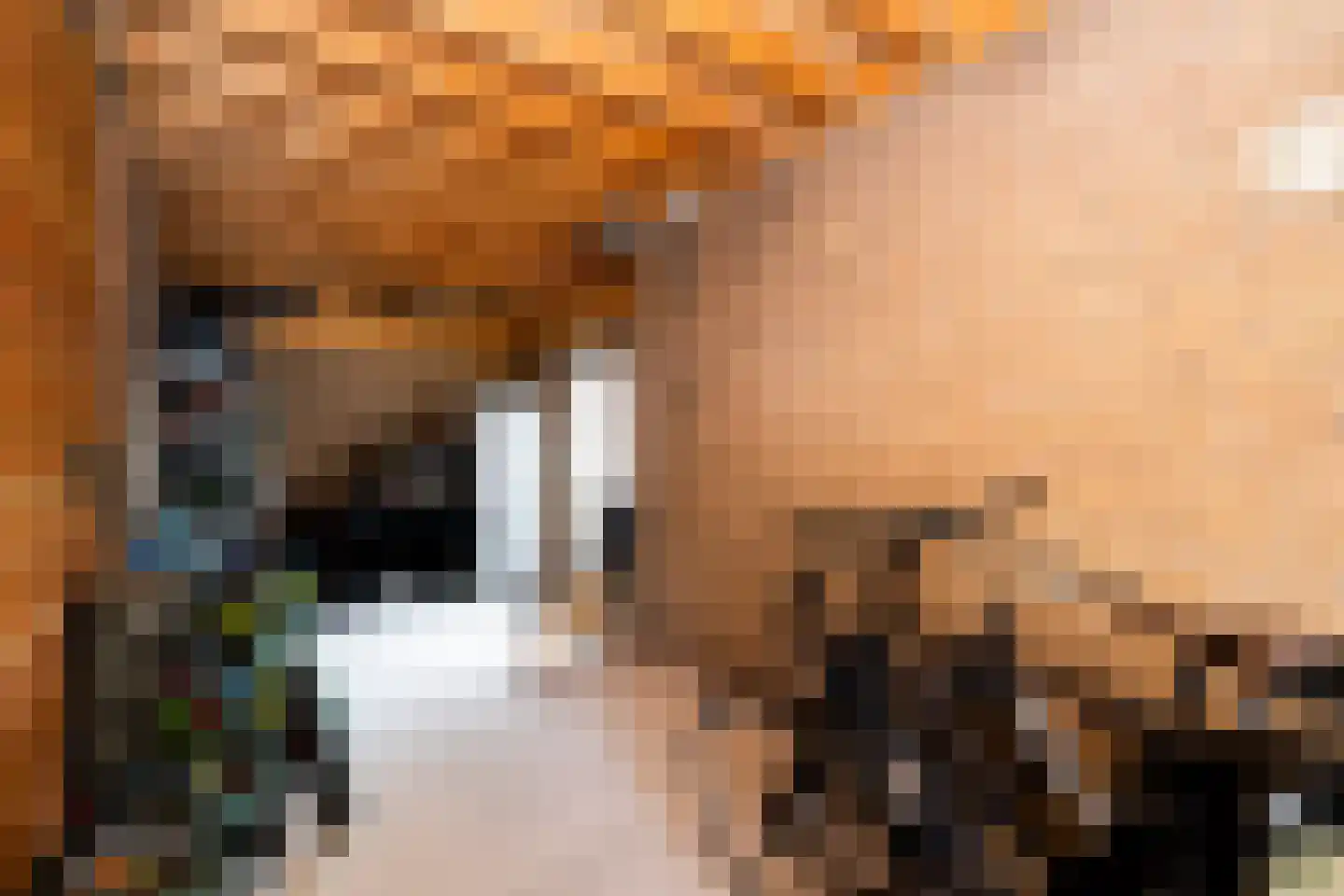Stedekestraat 18 Goirle thumbnail 64