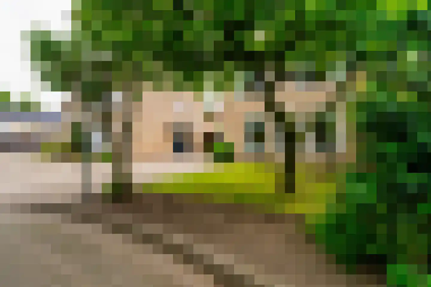 Stedekestraat 18 Goirle thumbnail 68