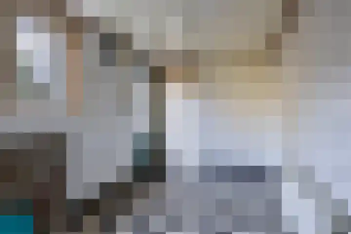 Stedekestraat 69 Tilburg thumbnail 10