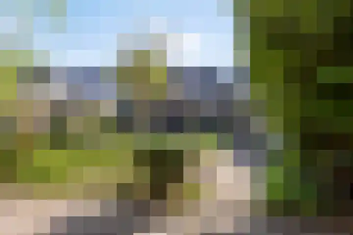 Stedekestraat 69 Tilburg thumbnail 20
