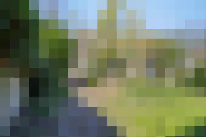 Stedekestraat 69 Tilburg thumbnail 21