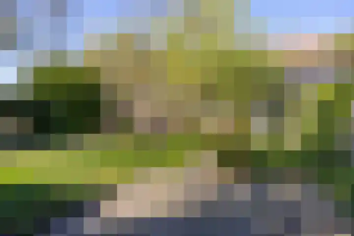 Stedekestraat 69 Tilburg thumbnail 22