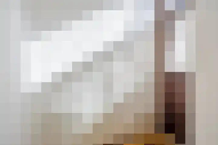 Stedekestraat 69 Tilburg thumbnail 4