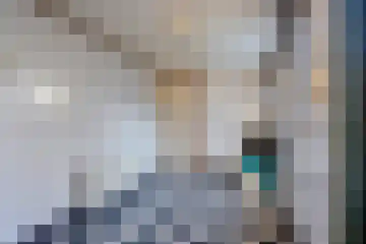 Stedekestraat 69 Tilburg thumbnail 9