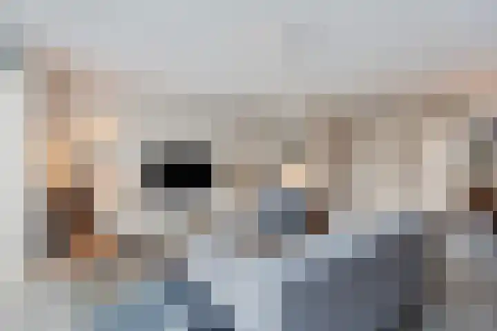Stedelaan 13 Zevenaar thumbnail 11