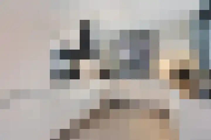 Stedelaan 13 Zevenaar thumbnail 16
