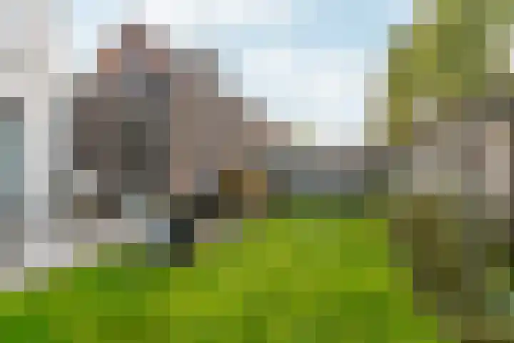 Stedelaan 13 Zevenaar thumbnail 25