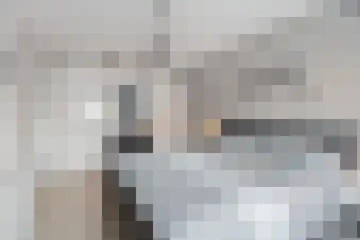Stedelaan 13 Zevenaar thumbnail 30