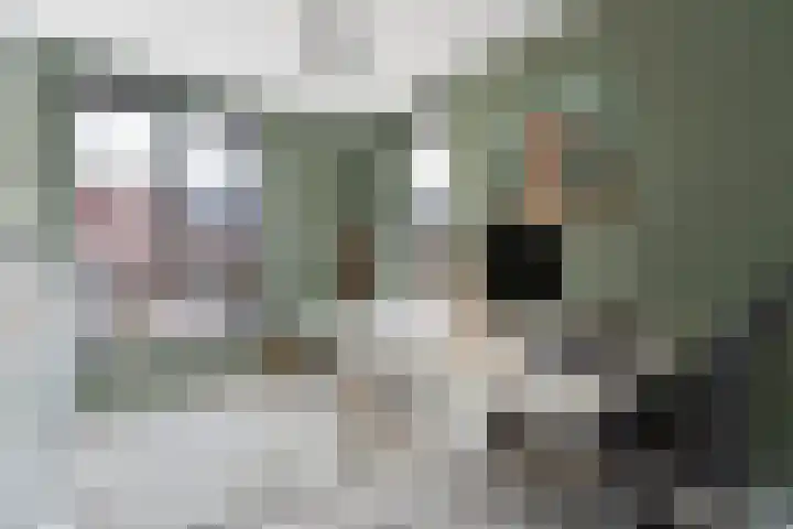 Stedelaan 13 Zevenaar thumbnail 34