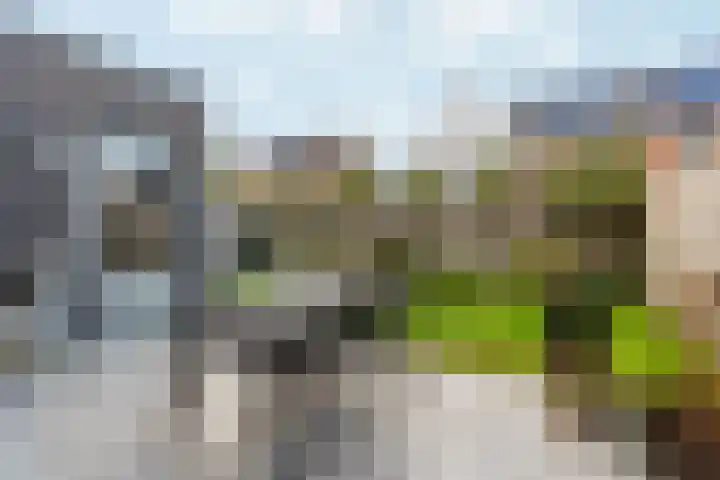 Stedelaan 13 Zevenaar thumbnail 4