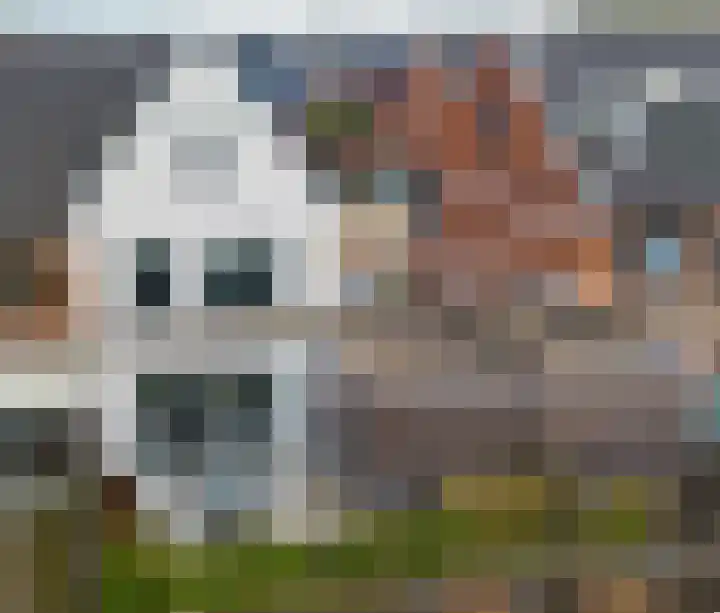 Stedelaan 13 Zevenaar thumbnail 52