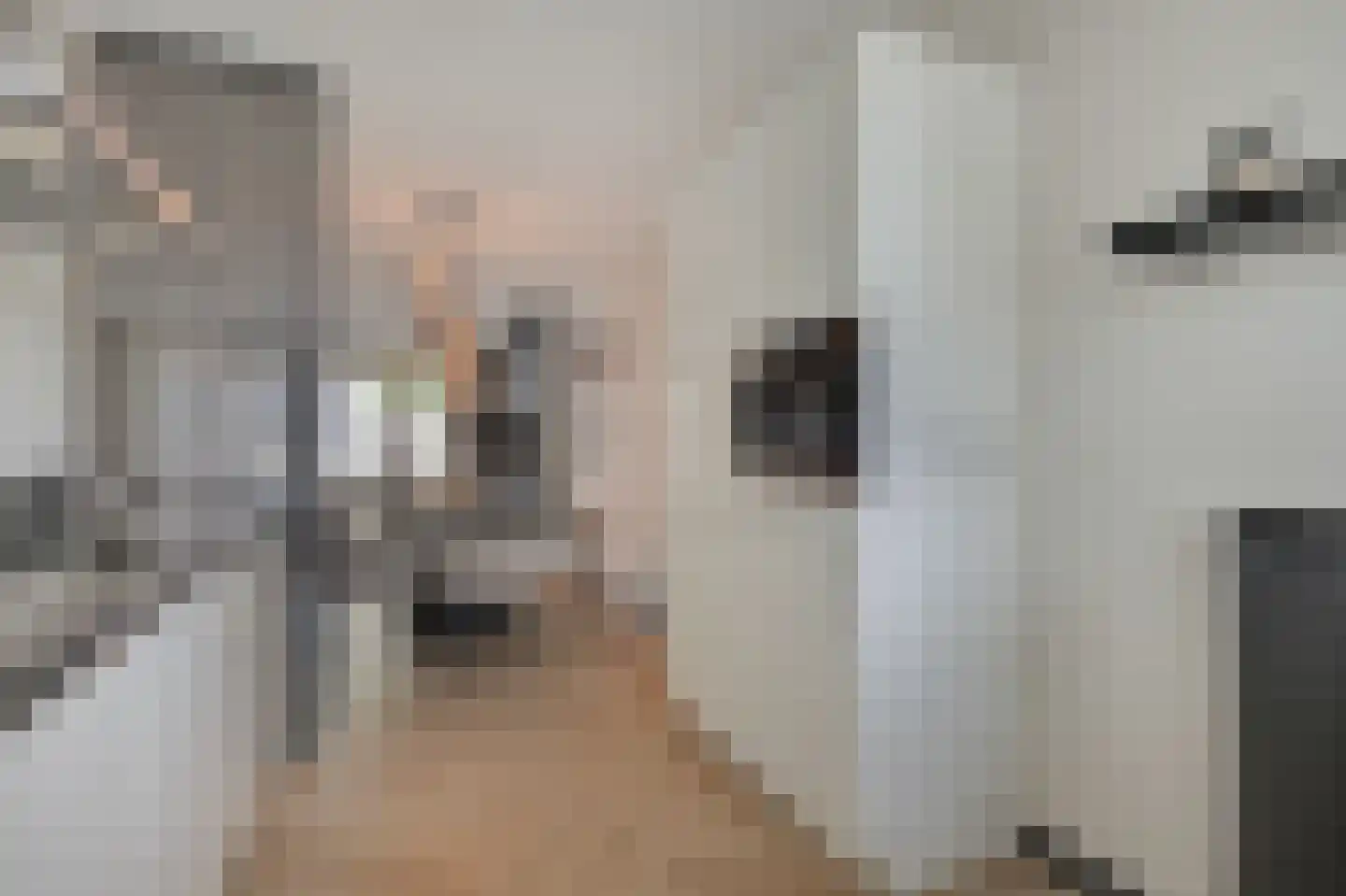 Stedelaan 17 Zevenaar thumbnail 21
