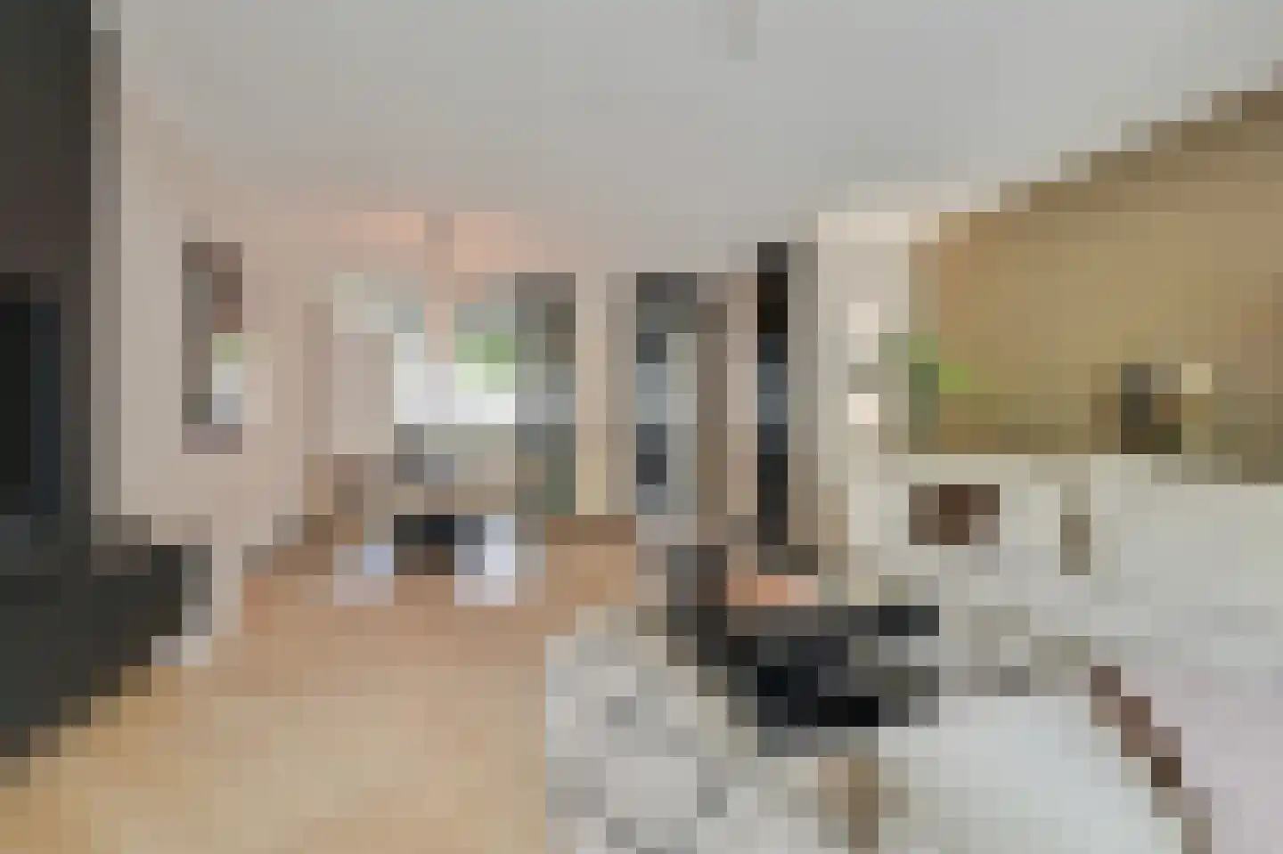 Stedelaan 17 Zevenaar thumbnail 29