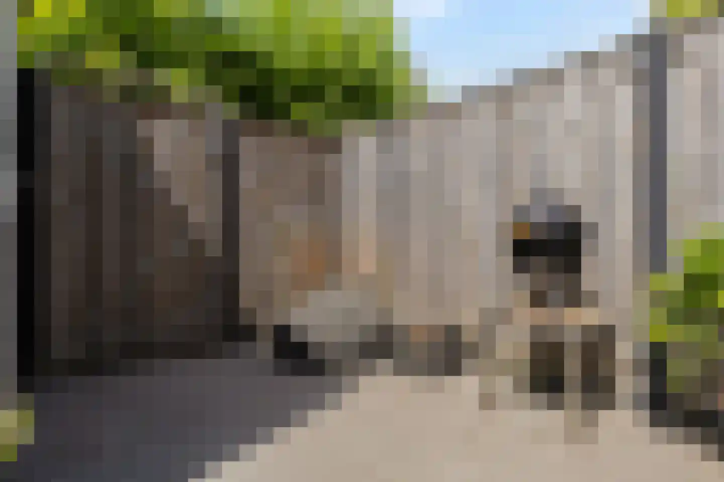 Stedelaan 17 Zevenaar thumbnail 37