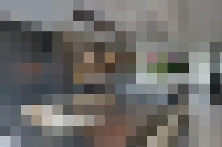 Stedelaan 18 Assen thumbnail 13