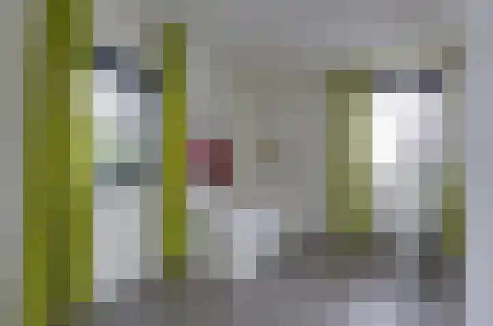 Stedelaan 18 Assen thumbnail 22