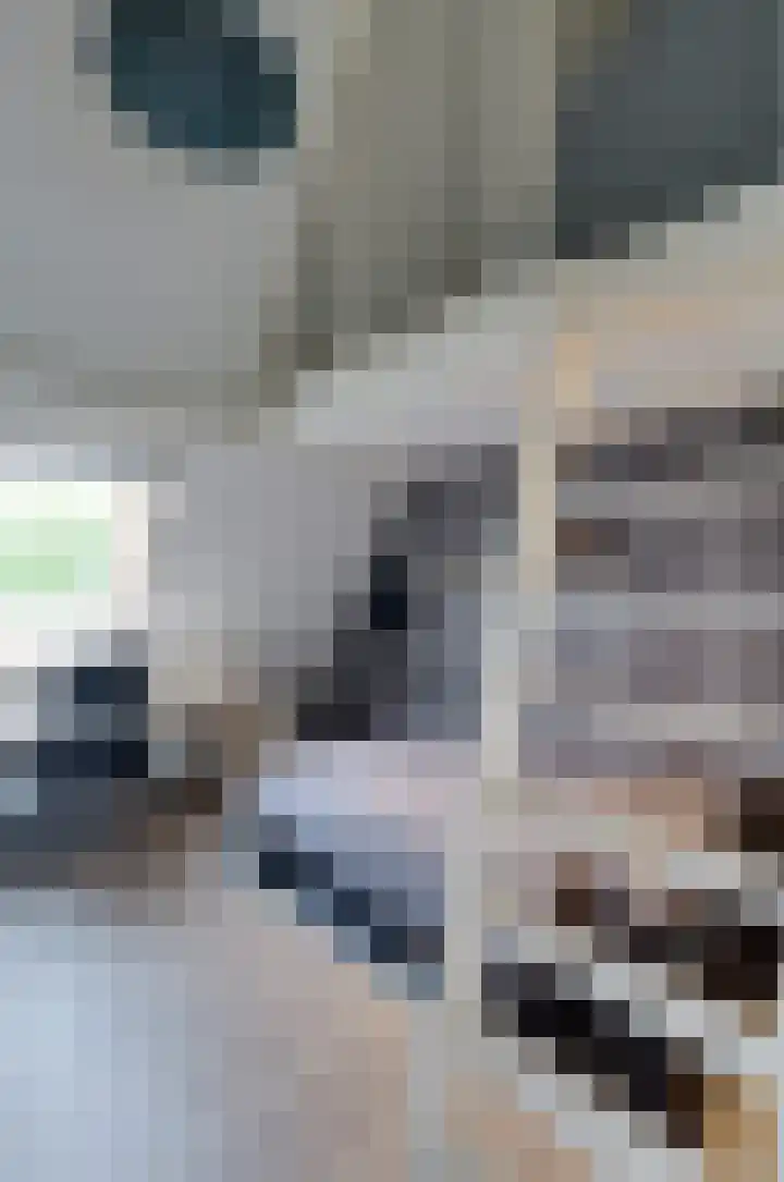 Stedelaan 18 Assen thumbnail 31