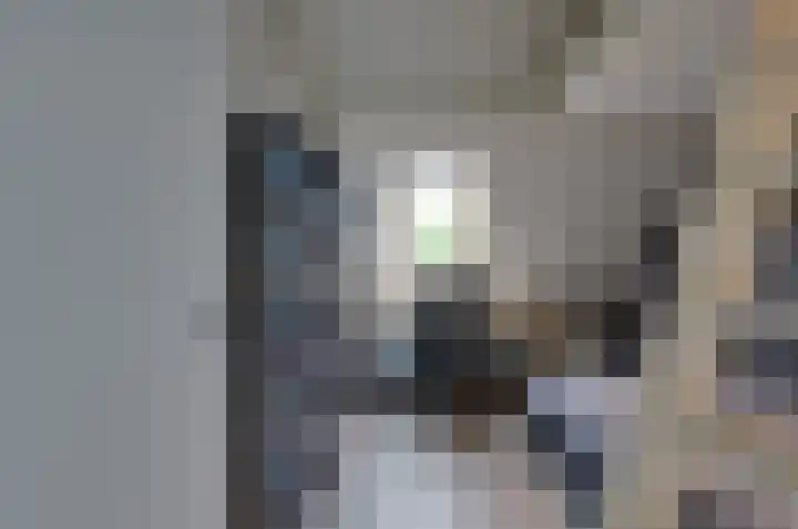 Stedelaan 18 Assen thumbnail 32