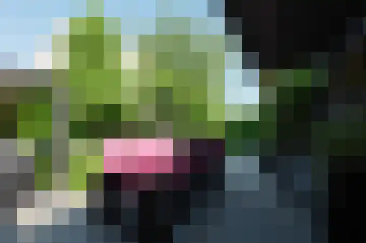 Stedelaan 18 Assen thumbnail 37