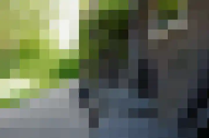 Stedelaan 18 Assen thumbnail 41