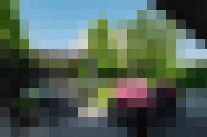 Stedelaan 18 Assen thumbnail 44