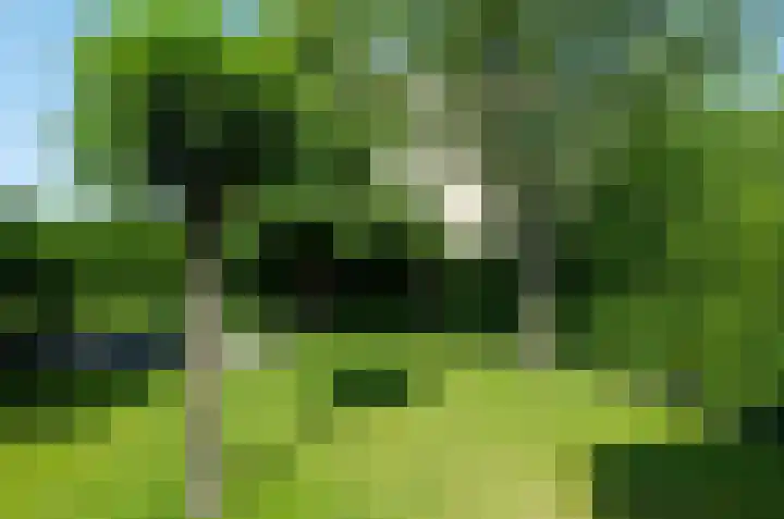 Stedelaan 18 Assen thumbnail 45